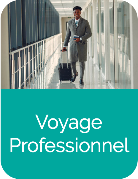 Voyage professionnel